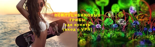 гидропоника Елизово
