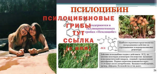гидропоника Елизово