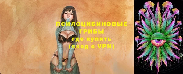 гидропоника Елизово