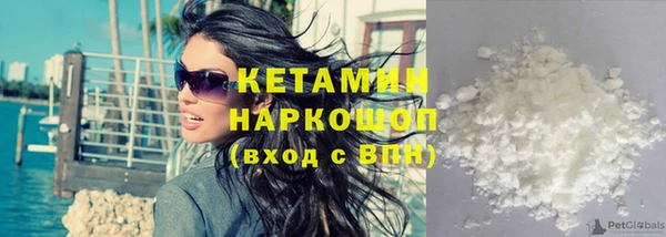 мет Ельня