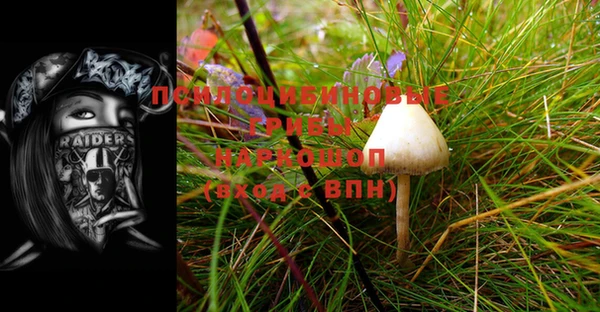 прущая мука Дмитровск
