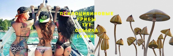 гидропоника Елизово