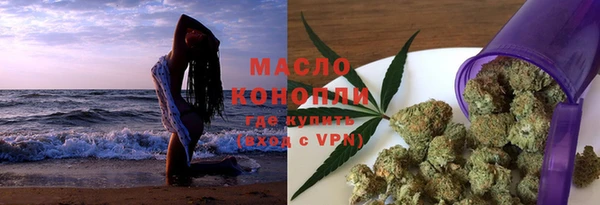 хмурый Дмитров