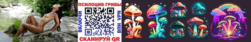 Псилоцибиновые грибы Magic Shrooms  Купить где  Зима 